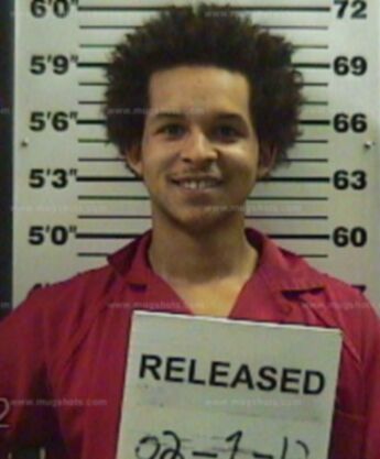 Cameron L Damschroeder
