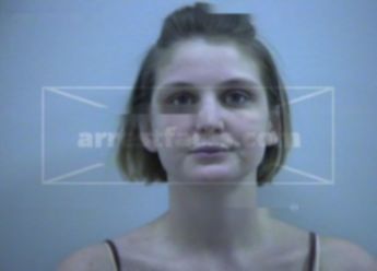 Shannon M Skaggs