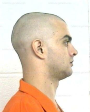 Michael R Terrell