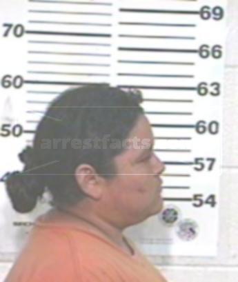 Veronica Hidalgo Nava