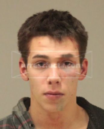 Marty J Taylor Carr