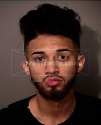 Bryan Flores