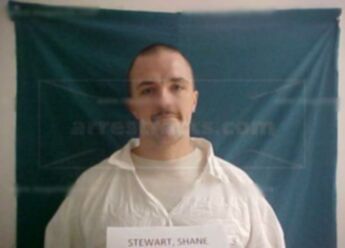 Shane T Stewart