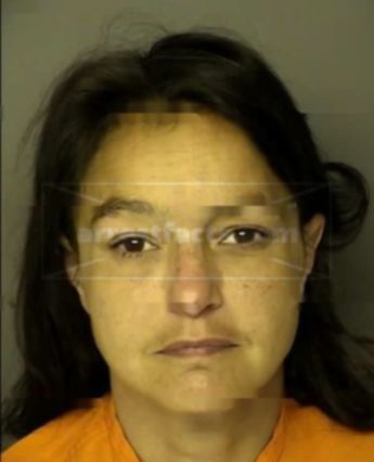 Diana Lee Sullinger