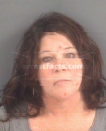 Stella Nash Johnson