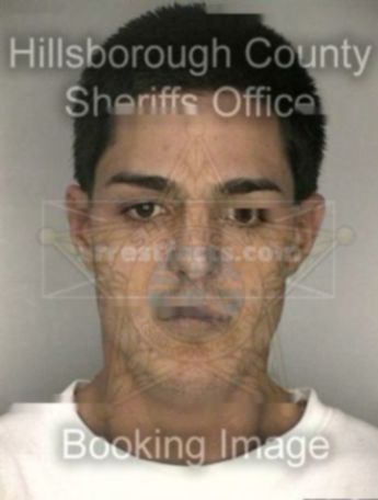 Arnaldo L Hernandez