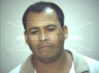 Jose Isabel Pacheo