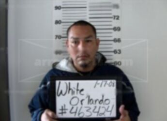 Orlando White