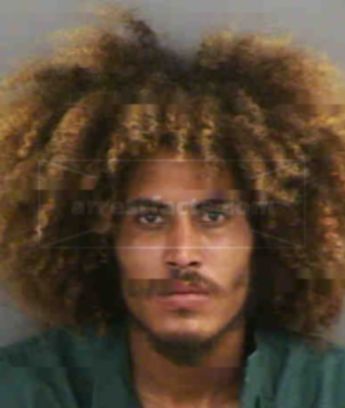 Darius Alexander Perkins