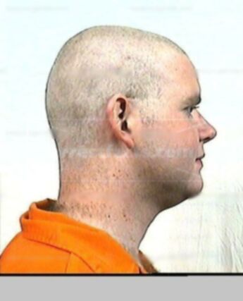 Christopher C Martin
