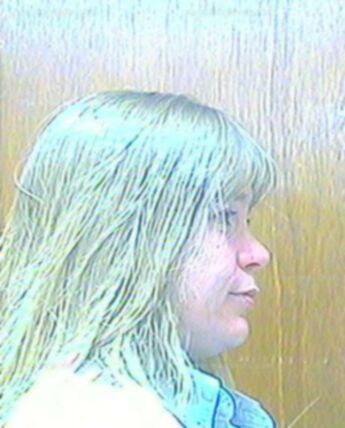 Michele D Schneider