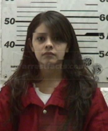 Erika Vigil