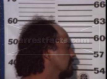 Simon Gutierrez Flores