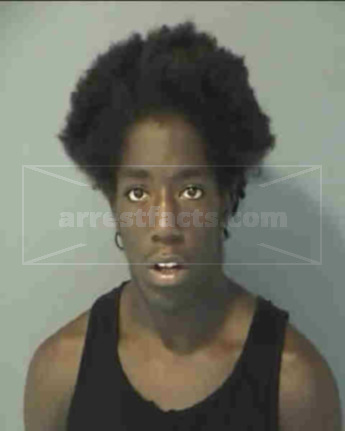 Vincent Lee Neal