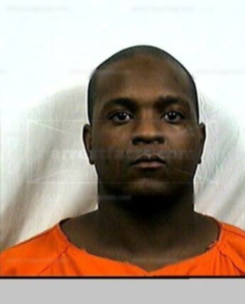 David D Bloomer
