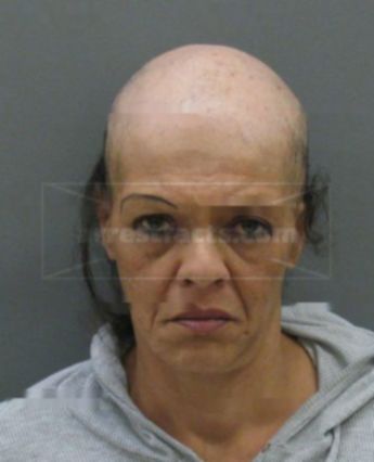 Debra Lynn Dyke