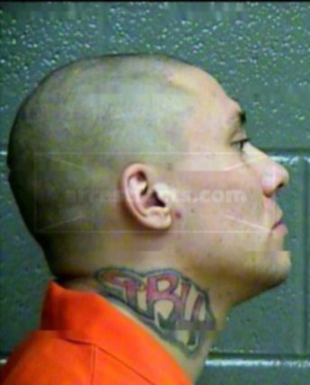 Robert Shane Green