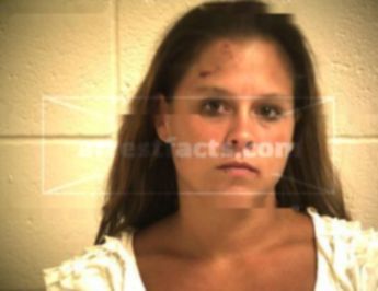 Amanda Elizabeth Sanchez Johnson