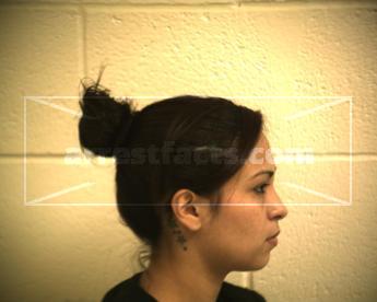 Ashley Nicole Olivarez Salinas