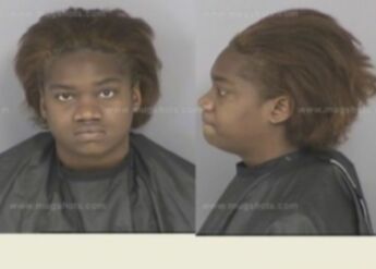 Whitney Lynor Phillips