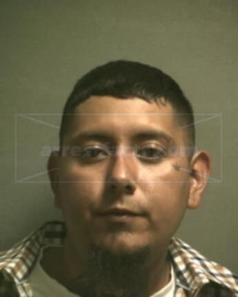 Armando Gonzales Lugo