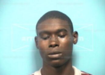 Kylin Martel Cox