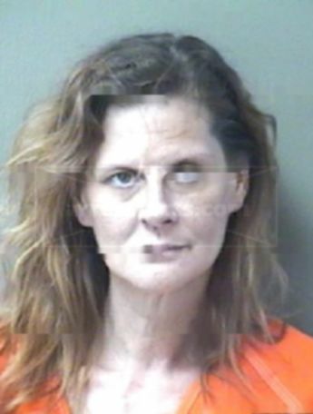 Judith Lea Koran
