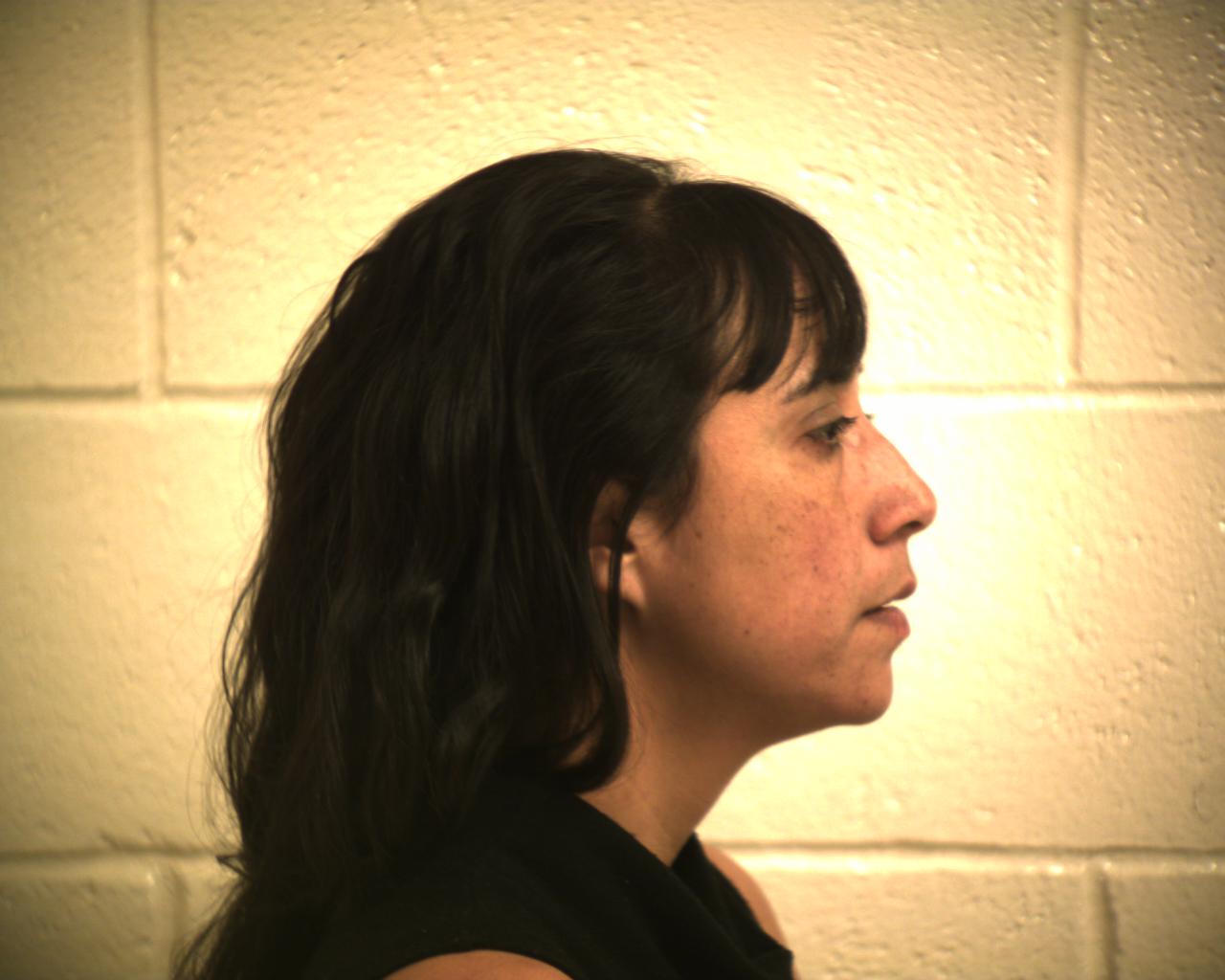 Virginia Alaniz Barboza