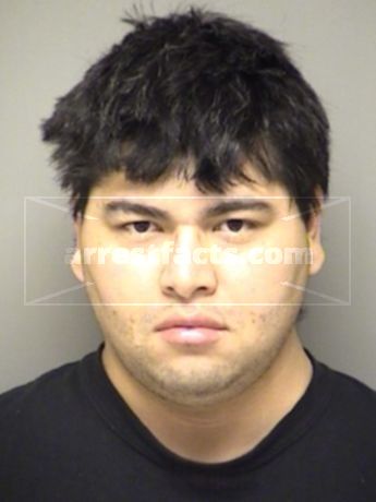 Robert Harris Zambrano
