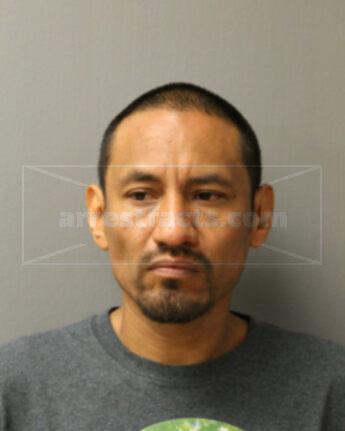 Cesar J Solano