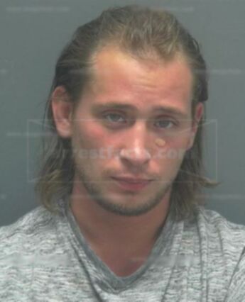 Chris Walter Healey