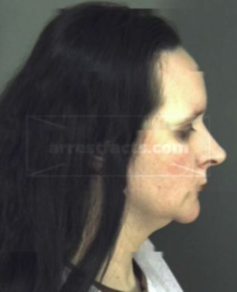 Wendy Ann Jardine