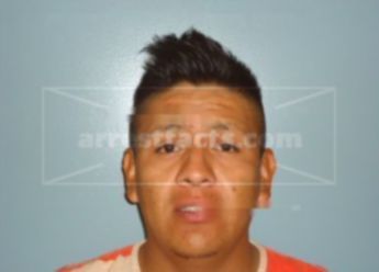 Aron Rosales Salas
