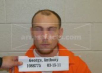 Anthony George