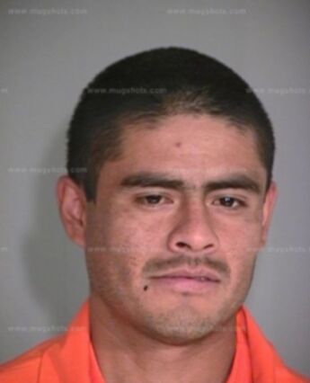 Oscar M Hernandez-Hernandez