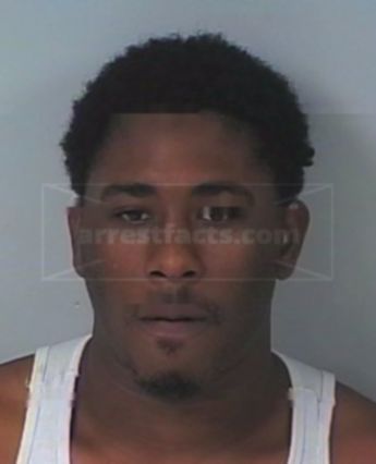 Braddie Lynn Ellison