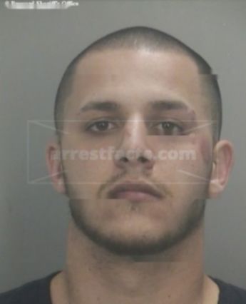 Vincent Nicholas Dellapi