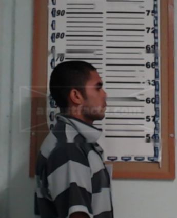 Henry Danilo Flores-Vidal