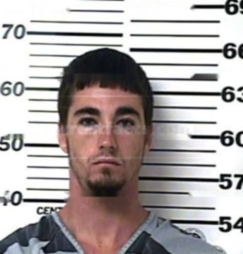 Dakota O'ryan Lamb