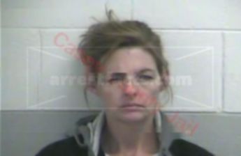 Ronna L Carmicle