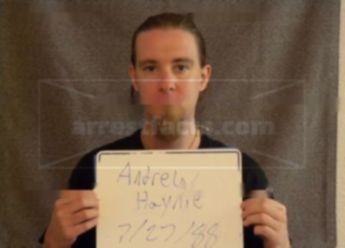 Andrew T Haynie