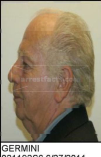 Louis Edward Germini Jr.