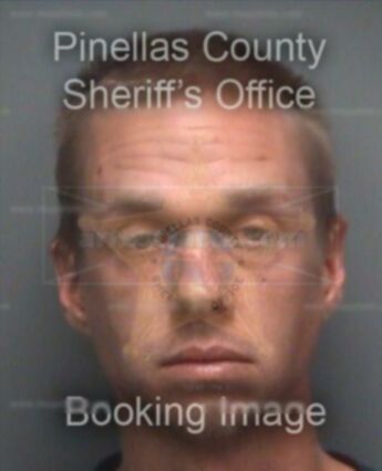 Shea Afton Fleming