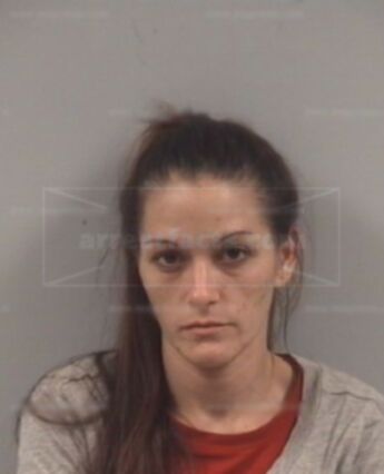 Elizabeth Ann Jarvis