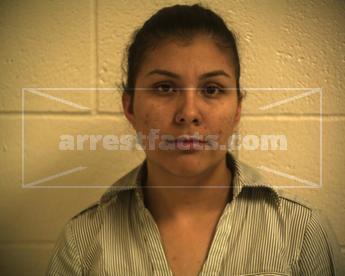 Brenda Lizbeth Gutierrez Narvaez