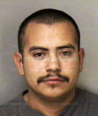 Jose Bernal