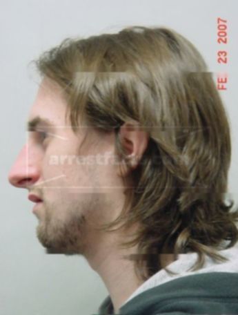 Alex F Driessen