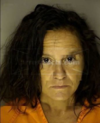 Lisa Marie Devillier Owens
