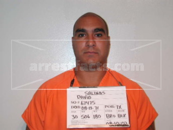 David Salinas