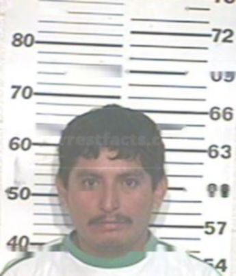 Nelson Sanchez Velasquez